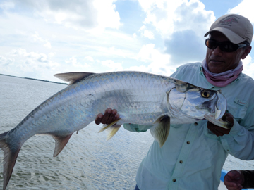 Cancun Tarpon Fishing